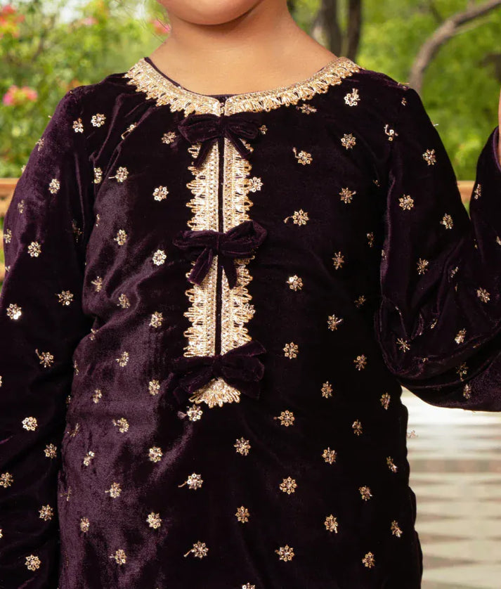 Luxe Burgundy Boti Velvet Kurti Salwar Set