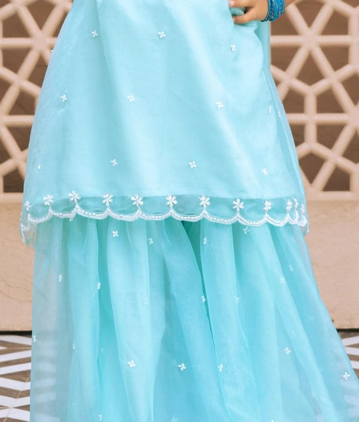 Aqua Embroidered Organza Kurti Sharara