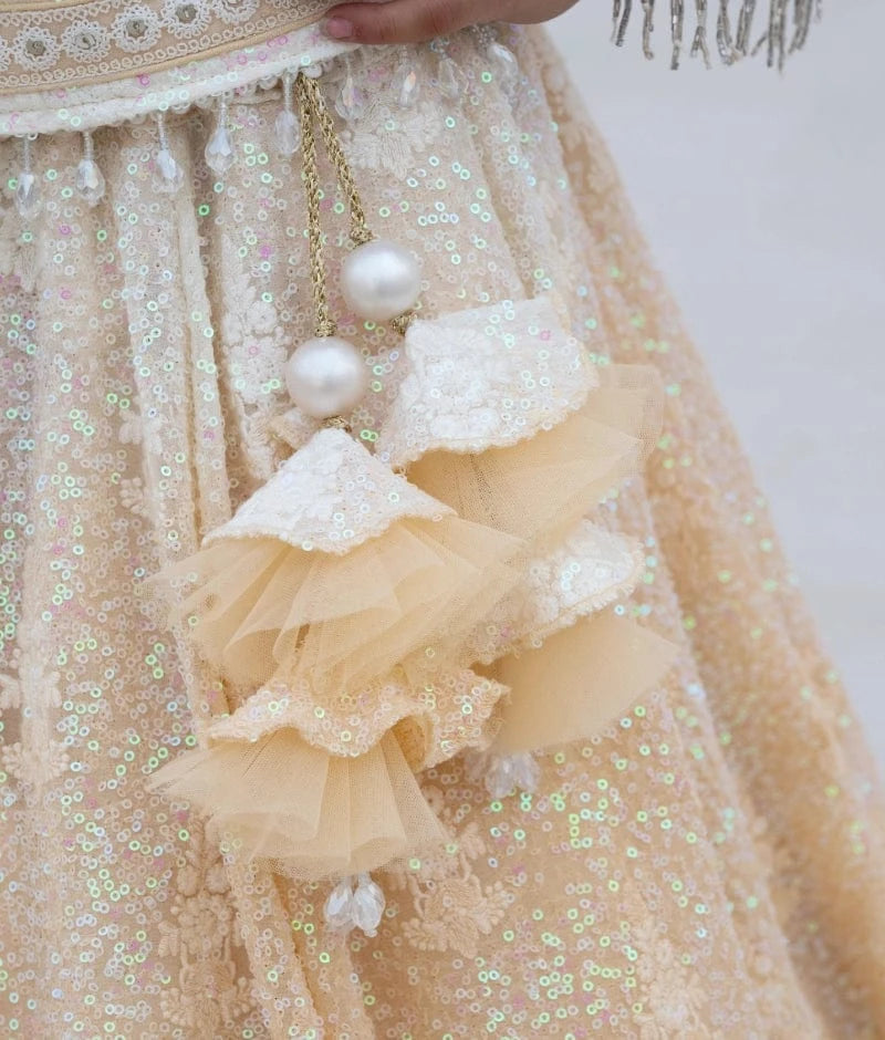 Beige Ombre Lehenga Set