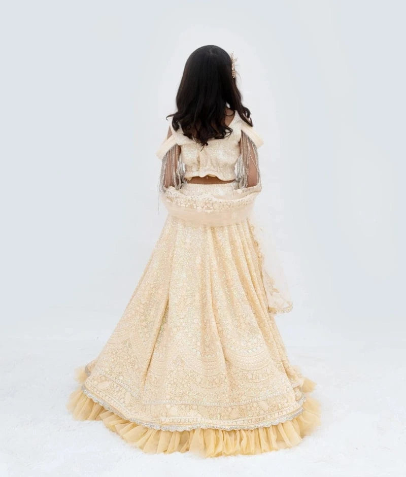 Beige Ombre Lehenga Set