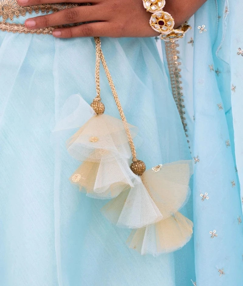 Blue Embroidered Lehenga Set with Cape