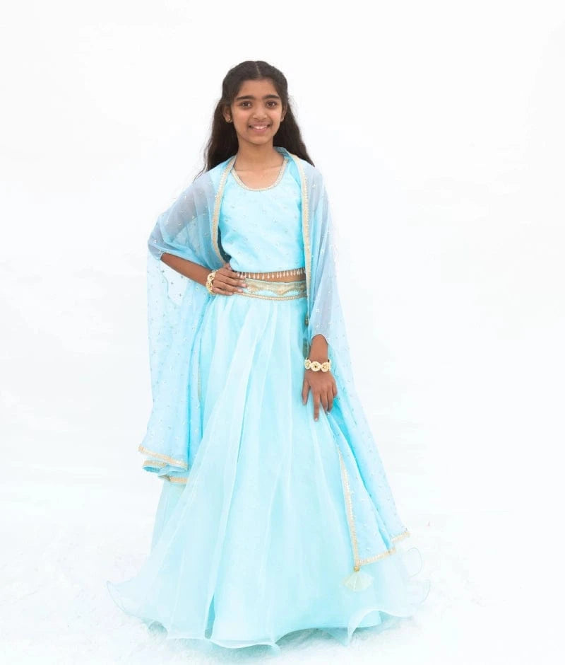 Blue Embroidered Lehenga Set with Cape