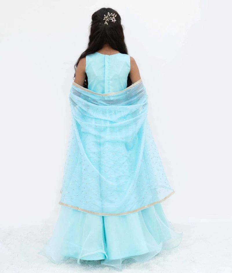 Blue Embroidered Lehenga Set with Cape
