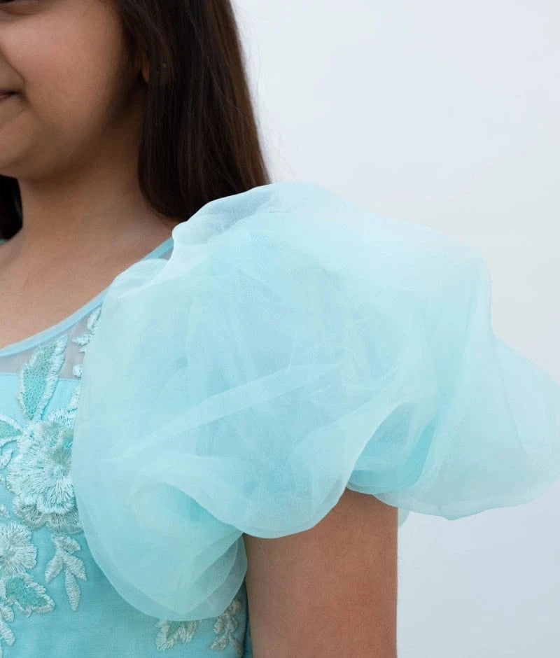 Manufactured by FAYON KIDS (Noida, U.P) Blue Embroidered Organza Frock