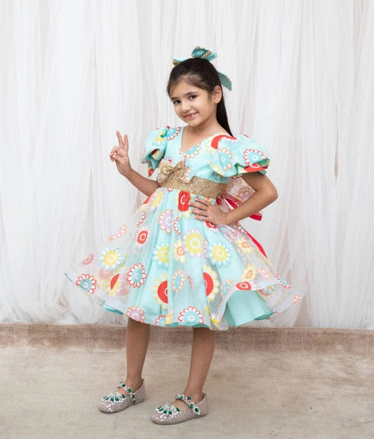 Manufactured by FAYON KIDS (Noida, U.P) Blue Organza frock