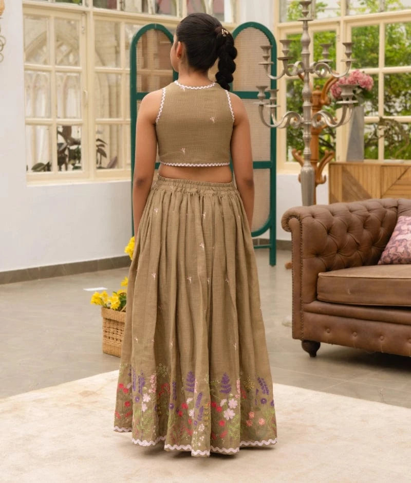Brown Embroidered Lehenga Choli Set