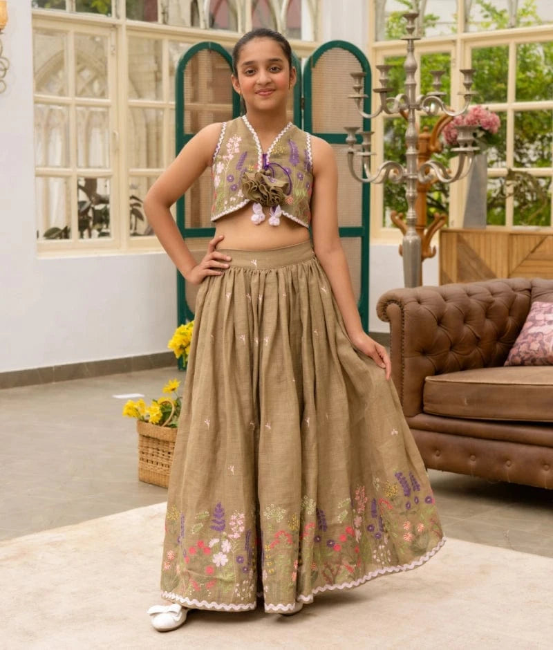 Brown Embroidered Lehenga Choli Set