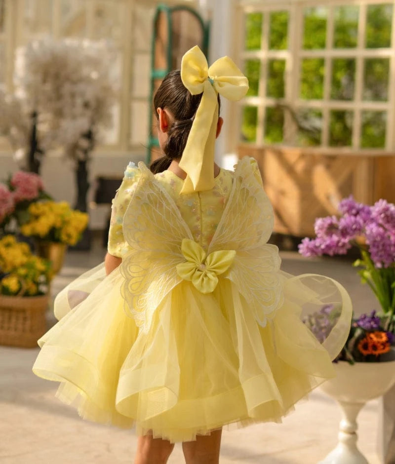 Butterfly Bloom Party Frock