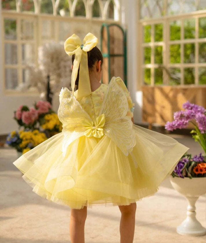 Butterfly Bloom Party Frock
