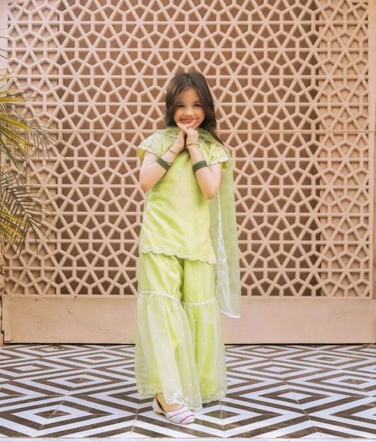 Green Embroidered Organza Kurti Sharara