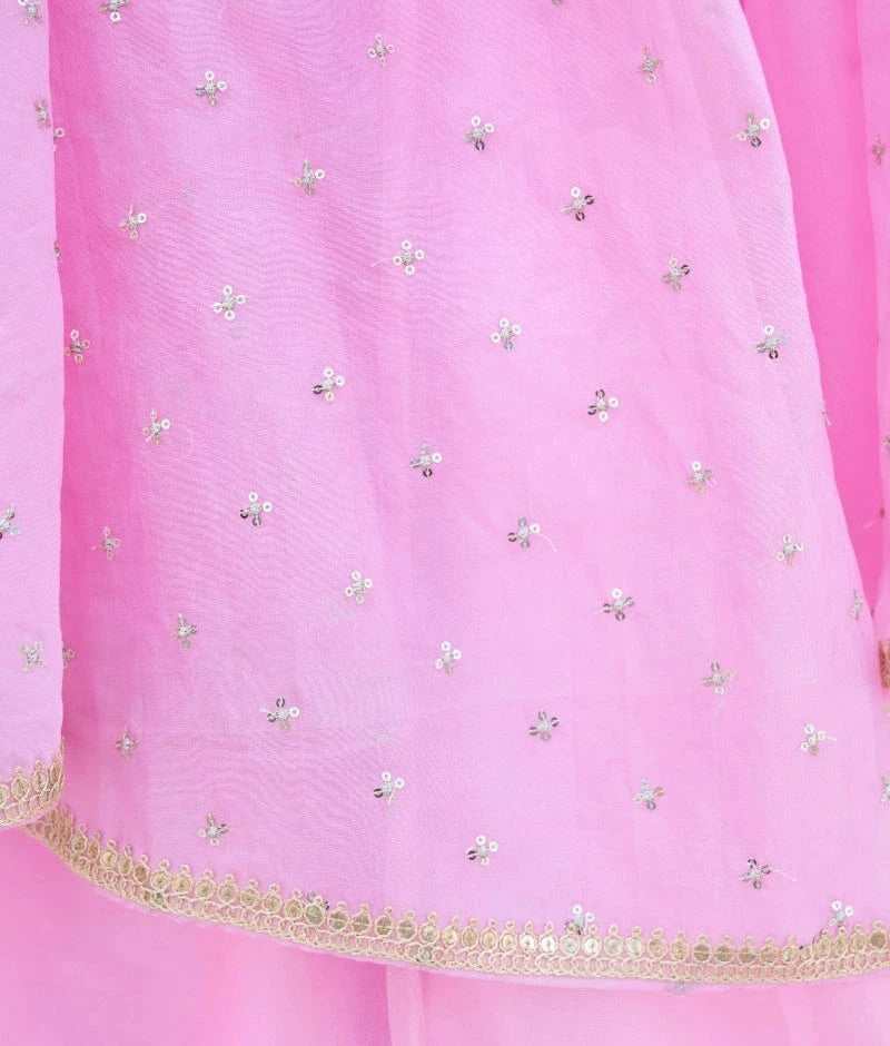 Pink Embroidered Lehenga Set with Cape