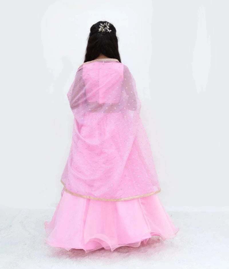 Pink Embroidered Lehenga Set with Cape