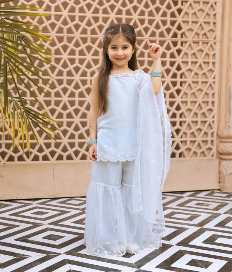 Sky Blue Embroidered Organza Kurti Sharara