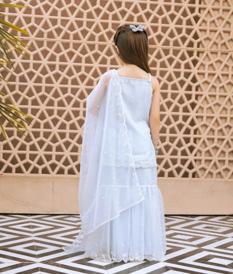 Sky Blue Embroidered Organza Kurti Sharara
