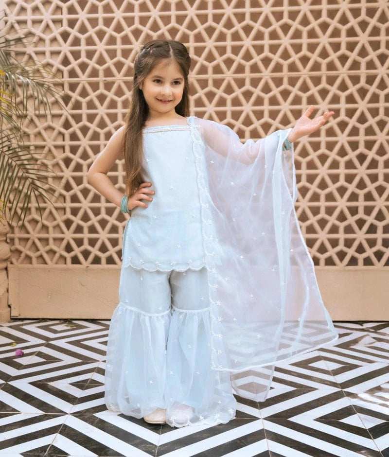Sky Blue Embroidered Organza Kurti Sharara