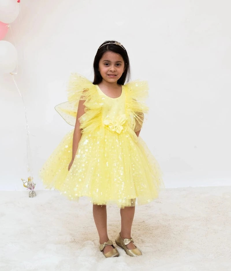 Yellow Star Net Layered Frock