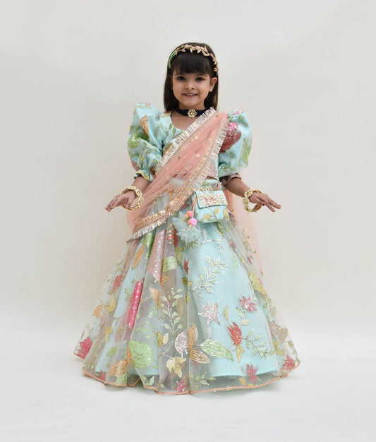 Aqua Net Embroidery Lehenga with Choli Boti Net Dupatta for Girls