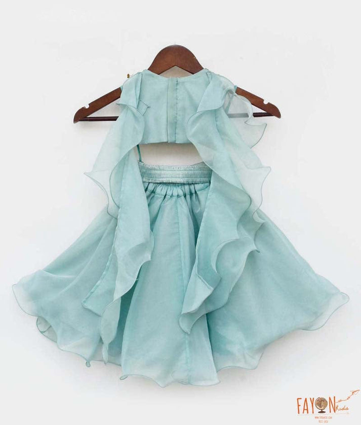 Blue Organza Lehenga Embroidery Choli for Girls