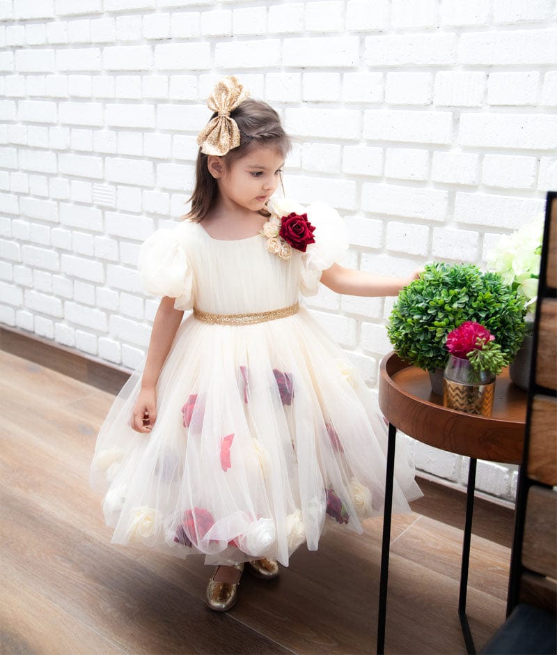 Cream Flower Net Dress for Girls