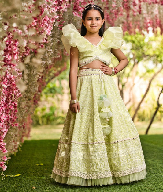 Green Embroidery Lehenga Choli