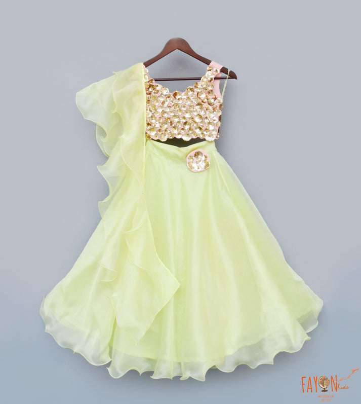 Green Organza Lehenga with 3D Flowers Choli Organza Dupatta for Girls