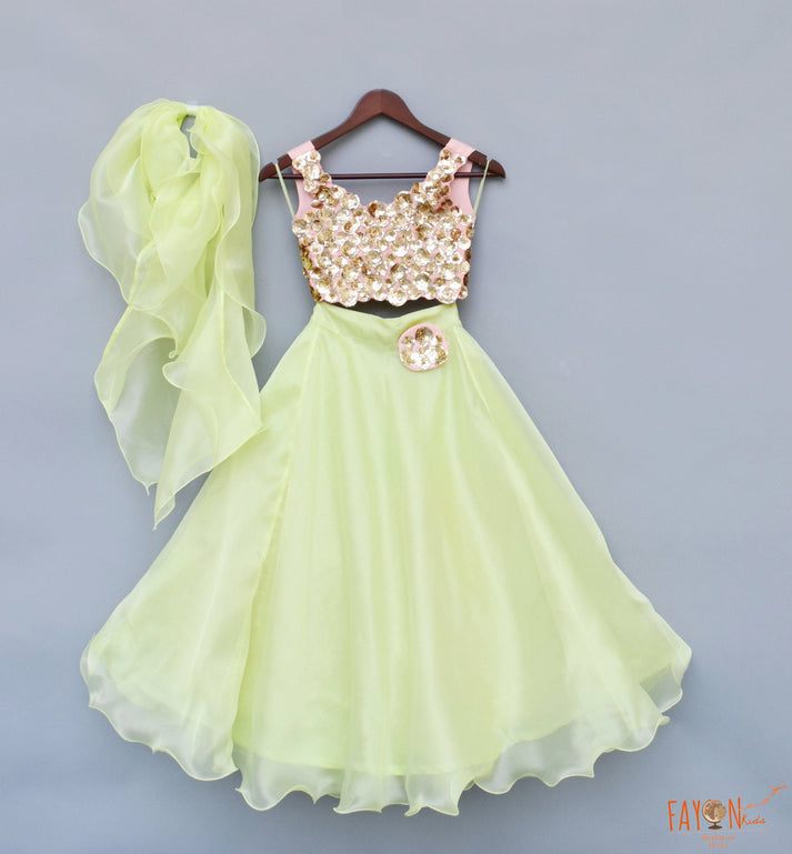 Green Organza Lehenga with 3D Flowers Choli Organza Dupatta for Girls