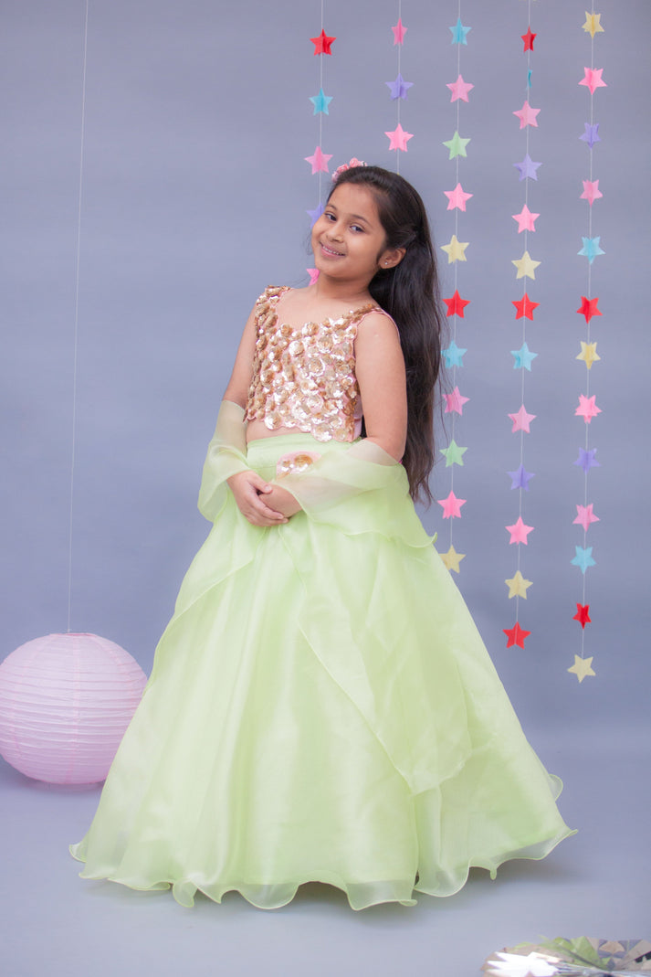 Green Organza Lehenga with 3D Flowers Choli Organza Dupatta for Girls