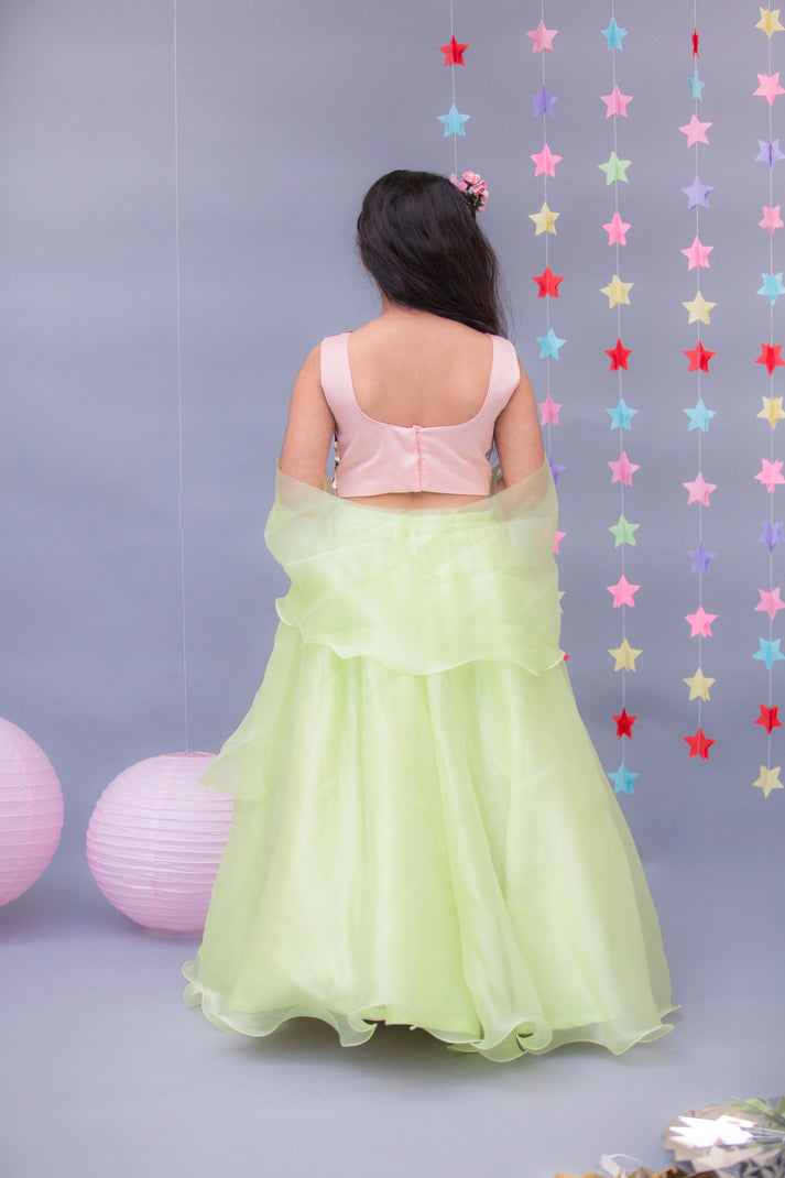 Green Organza Lehenga with 3D Flowers Choli Organza Dupatta for Girls