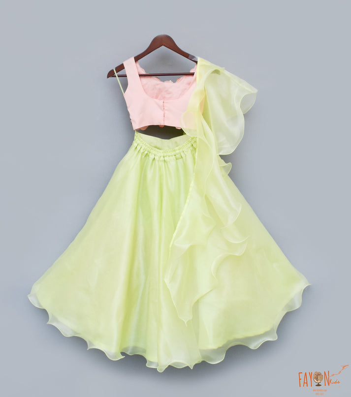 Green Organza Lehenga with 3D Flowers Choli Organza Dupatta for Girls
