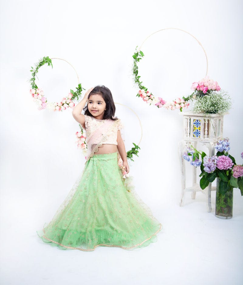 Peach Embroidery Green Booti Net Lehenga with Choli Boti Net Dupatta for Girls