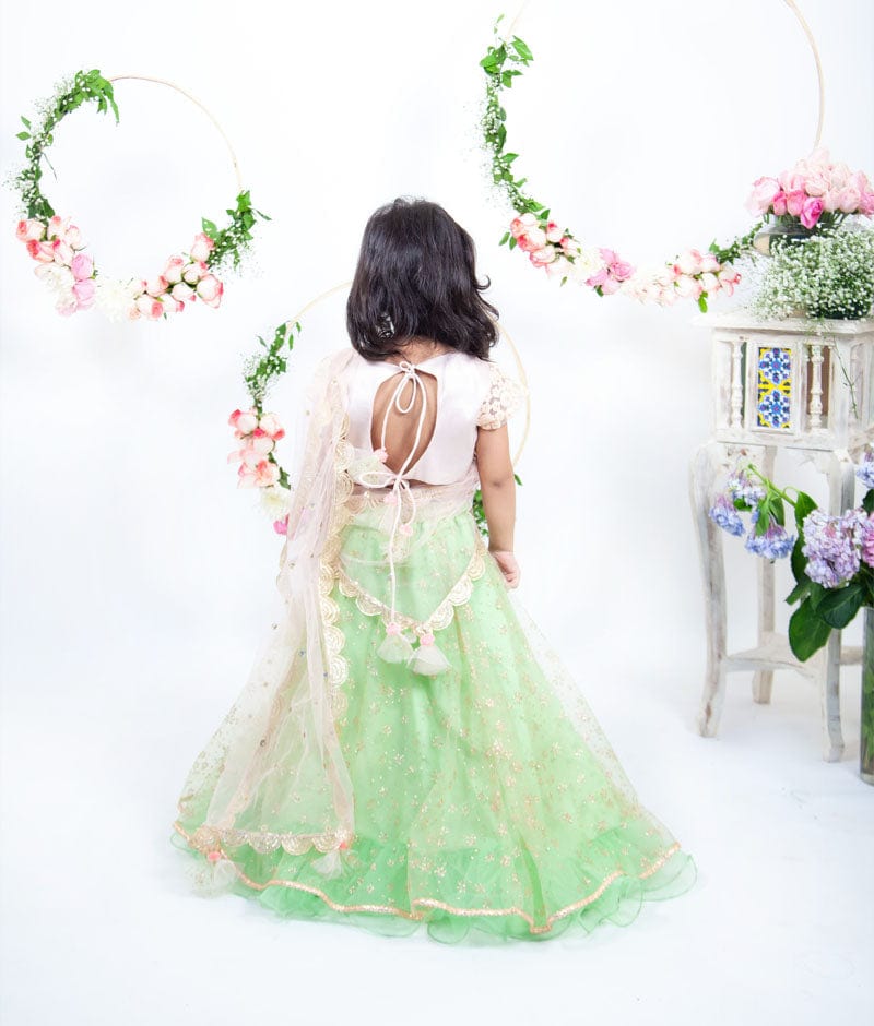 Peach Embroidery Green Booti Net Lehenga with Choli Boti Net Dupatta for Girls