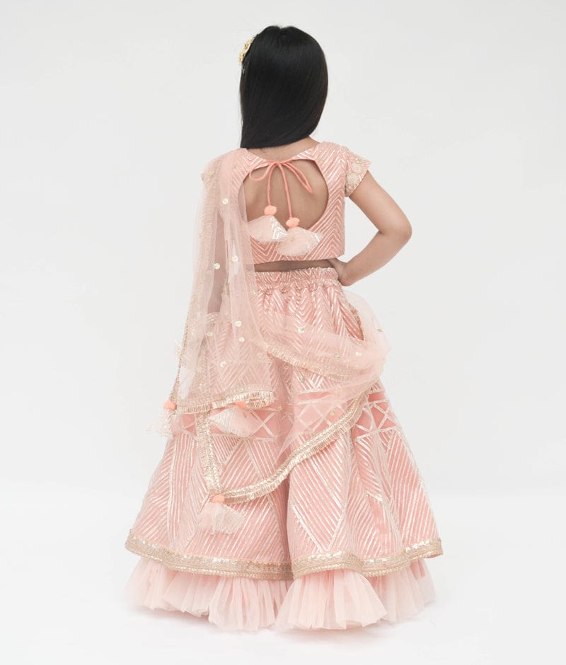 Peach Gota Embroidery Lehenga with Choli Boti Net Dupatta for Girls