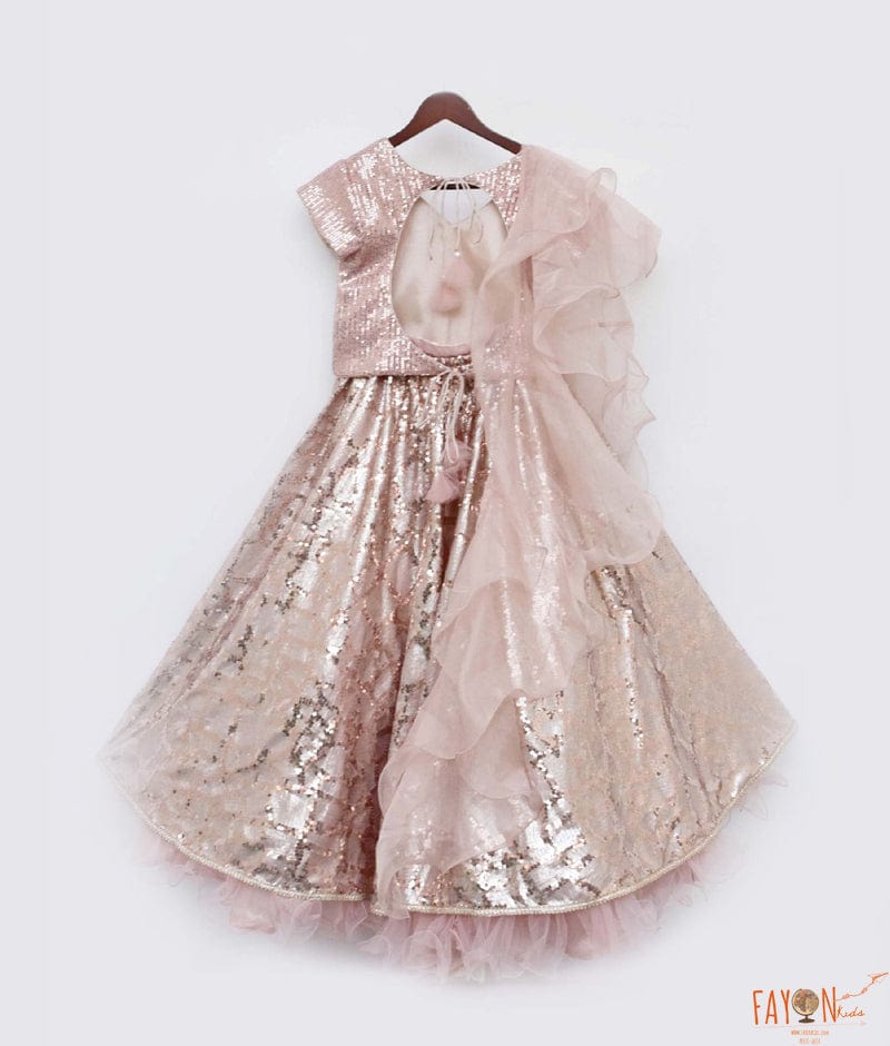 Peach Sequins Embroidery Lehenga with Choli Organza Dupatta for Girls
