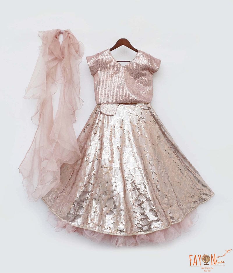 Peach Sequins Embroidery Lehenga with Choli Organza Dupatta for Girls