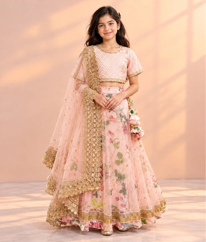 Peach Printed Lehenga Choli Set - Peach Printed Lehenga Choli Set