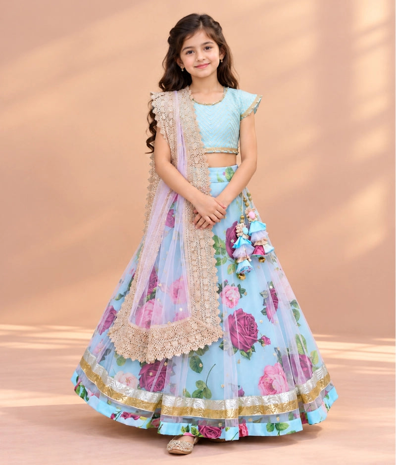 Blue Printed Lehenga Choli Set