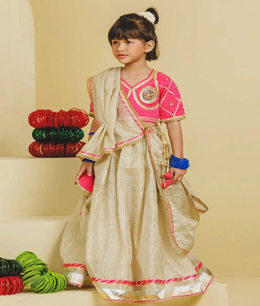 Pink Aangi Work Choli with Lehenga Set - Pink Aangi Work Choli with Lehenga Set