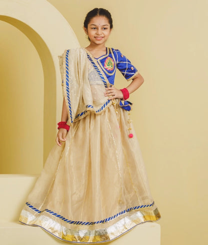Blue Aangi Work Choli with Lehenga Set - Blue Aangi Work Choli with Lehenga Set