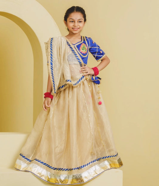 Blue Aangi Work Choli with Lehenga Set - Blue Aangi Work Choli with Lehenga Set