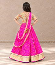 Mustard Embroidered Choli with Pink Bandhej Lehenga