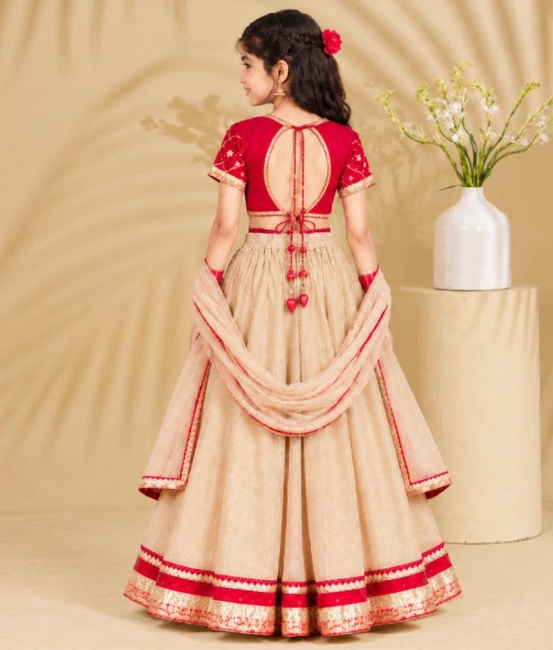 Red Aangi work Choli with Lehenga Set
