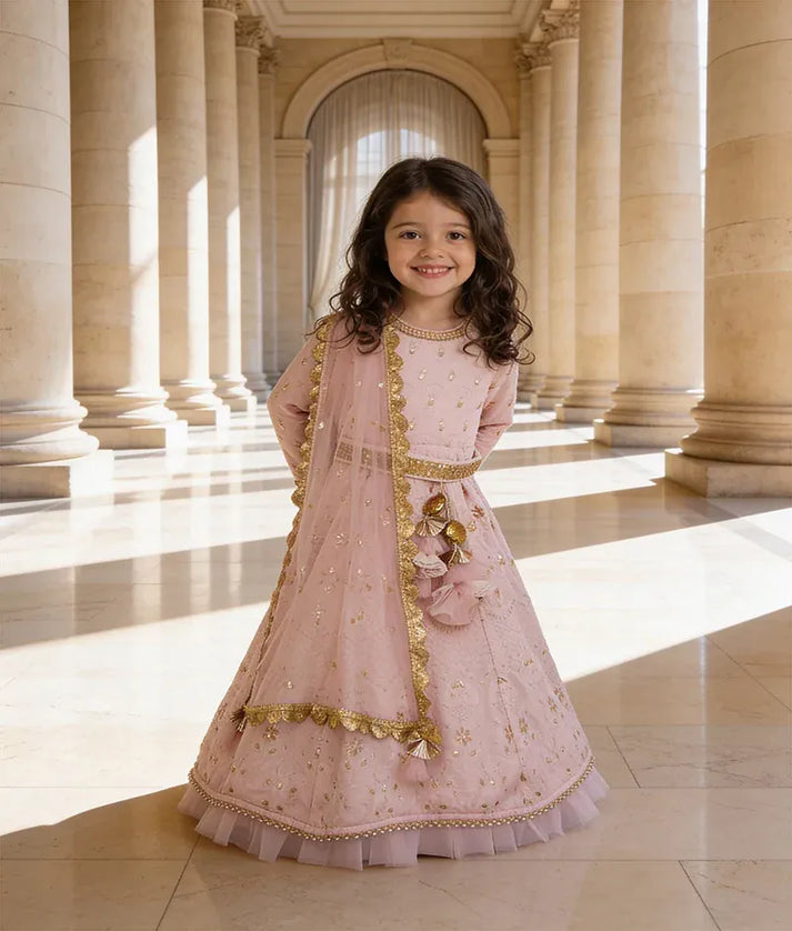 Luxe Baby Pink Lucknowi Anarkali With Boti Net Dupatta for Girls