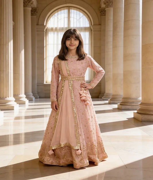 Luxe Baby Pink Thread Embroidery Anarkali