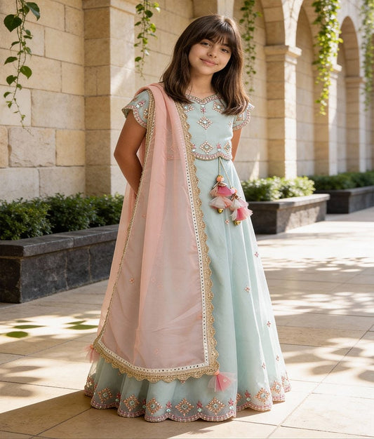 Luxe Blue Organza Embroidery Lehenga with Choli Organza Dupatta for Girls