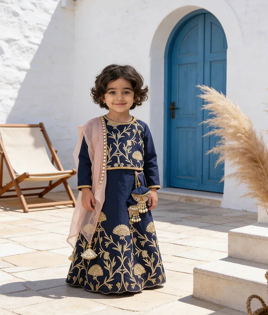 Luxe Dark Blue Gota Embroidery Lehenga with Choli Organza Dupatta for Girls
