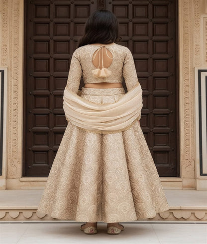 Luxe Golden Embroidered Lehenga Choli Set