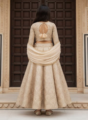 Luxe Golden Embroidered Lehenga Choli Set