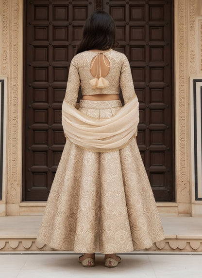 Luxe Golden Embroidered Lehenga Choli Set