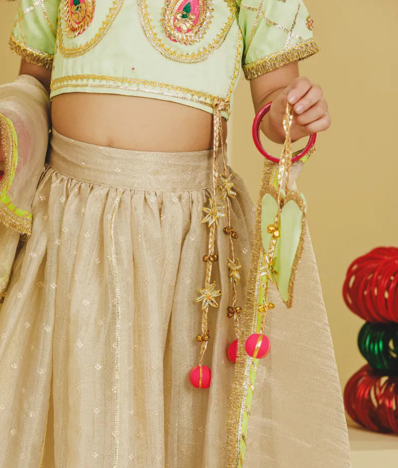 Luxe Green Aangi Work Choli with Lehenga Set