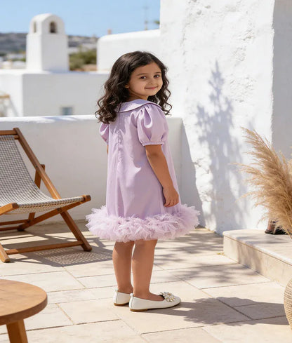 Luxe Lilac Embroidered Dress